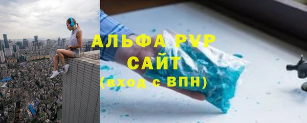 прущие грибы Баксан