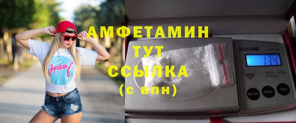 прущие грибы Баксан