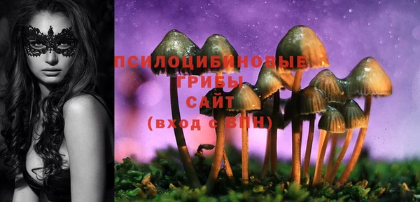 прущие грибы Баксан